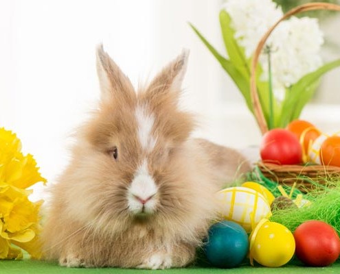 Ostern im Landhotel *Am Peetscher See*