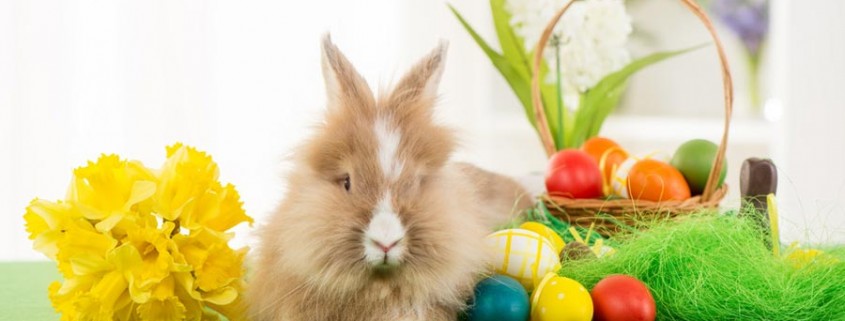 Ostern im Landhotel *Am Peetscher See*